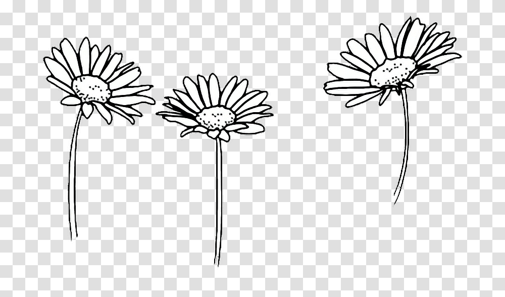 Comfortable Drawing Outline Sunflowers Flower Tumblr, Plant, Blossom, Petal, Daisy Transparent Png
