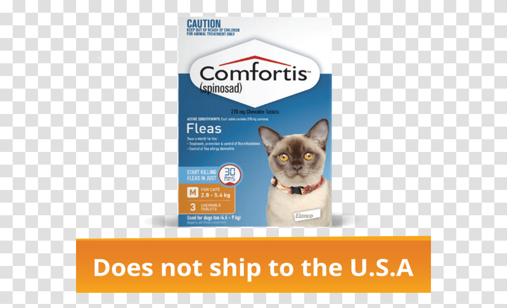 Comfortis Fleas Small Cat Treatment, Pet, Mammal, Animal, Siamese Transparent Png