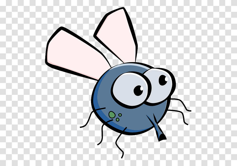 Comic Explosion Fly Clipart, Insect, Invertebrate, Animal, Photography Transparent Png
