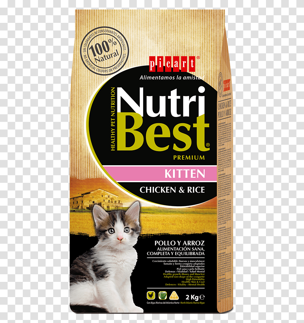 Comida Para Gatitos Nutribest Cat 2 Kg, Advertisement, Poster, Flyer, Paper Transparent Png