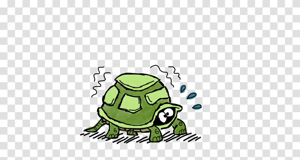 Coming Out Of My Shell Tortoise Troubles El Estoque, Turtle, Reptile, Sea Life, Animal Transparent Png