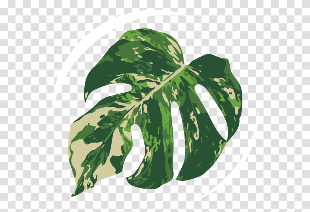 Coming Soon Image Icon, Plant, Leaf, Vegetable, Food Transparent Png