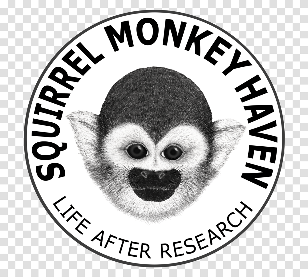 Coming Soon Monkey Face Sticker, Label, Logo Transparent Png