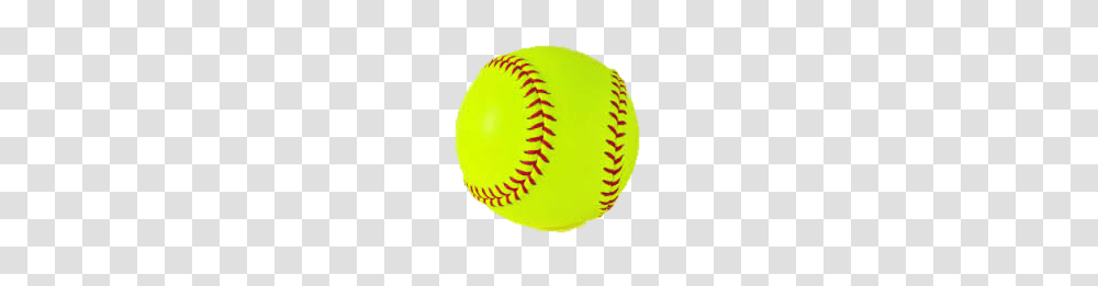 Committee, Tennis Ball, Sport, Sports Transparent Png