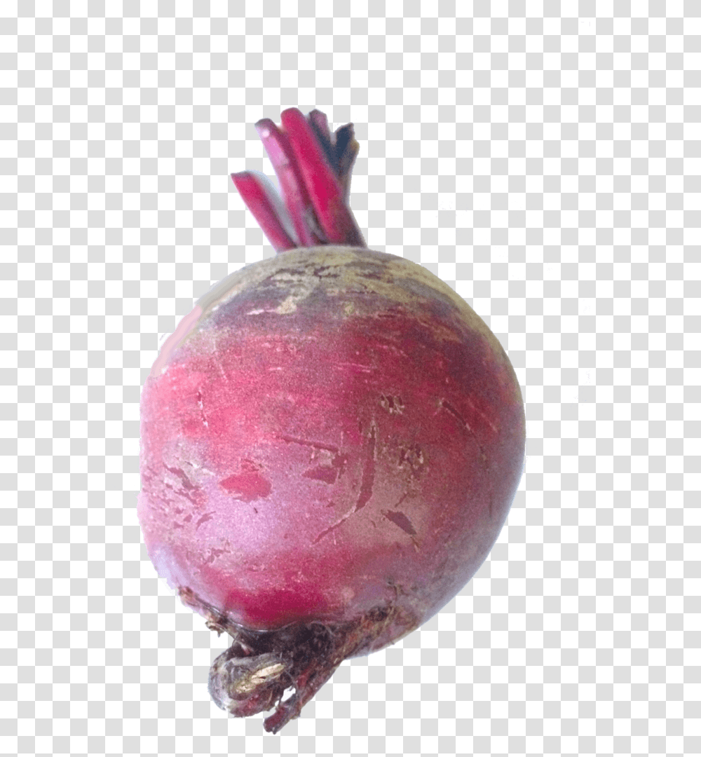 Common Beet Download Beetroot, Turnip, Produce, Vegetable, Food Transparent Png