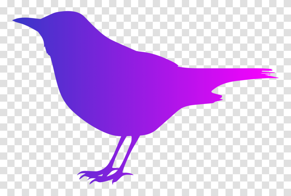 Common Blackbird Silhouette Drawing, Animal, Finch, Person, Human Transparent Png