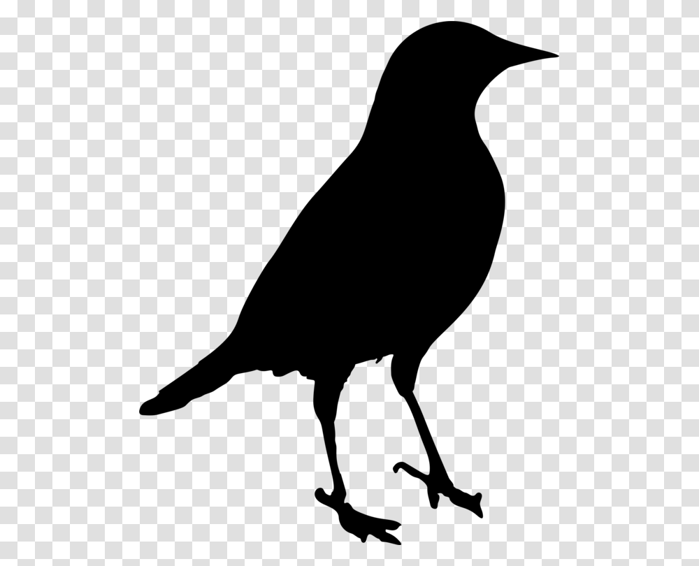 Common Blackbird Silhouette Drawing, Gray, World Of Warcraft Transparent Png