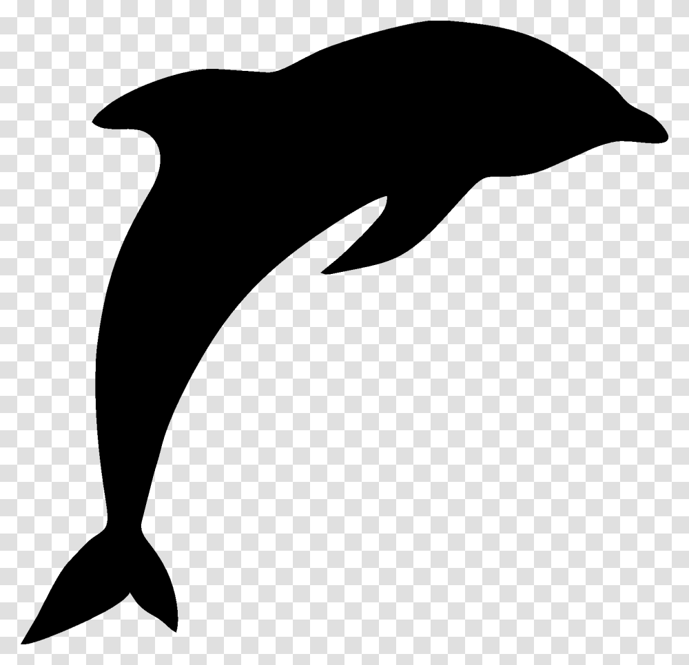 Common Bottlenose Dolphin Clipart Dolphin, Sea Life, Animal, Mammal, Whale Transparent Png