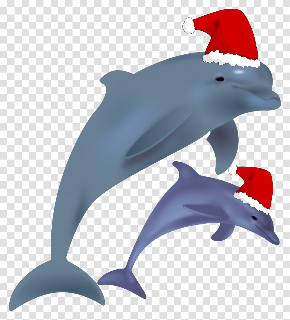 Common Bottlenose Dolphin Jumping Clip Art Christmas Christmas Dolphin, Animal, Sea Life, Mammal Transparent Png