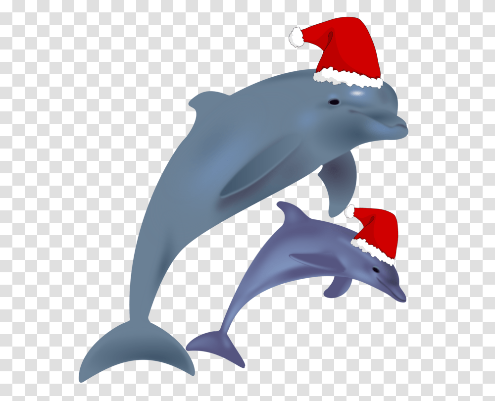 Common Bottlenose Dolphin Jumping Clip Art Christmas Drawing Free, Animal, Sea Life, Mammal Transparent Png