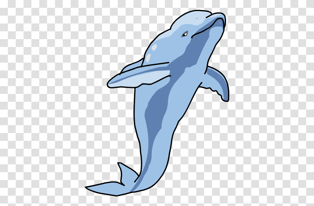 Common Bottlenose Dolphin, Mammal, Sea Life, Animal, Axe Transparent Png