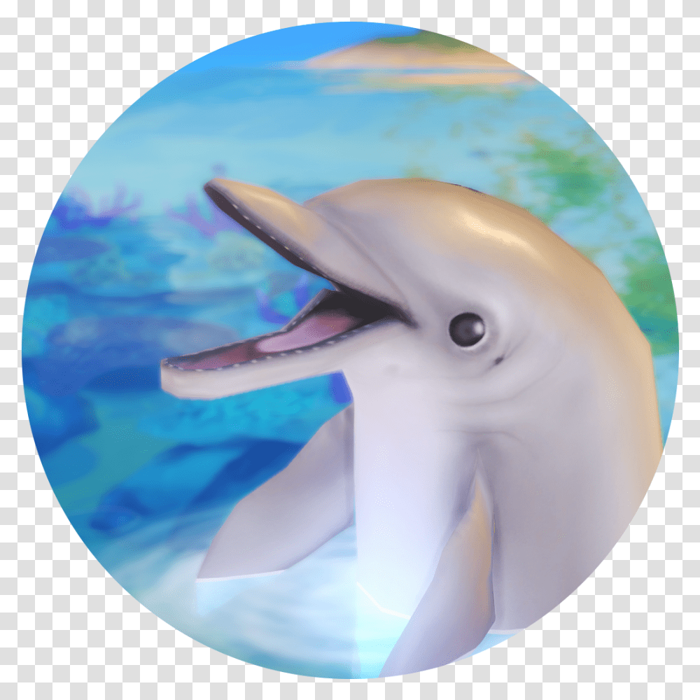 Common Bottlenose Dolphin, Mammal, Sea Life, Animal, Shark Transparent Png
