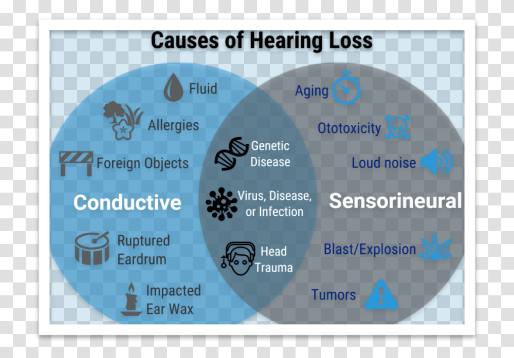 Common Causes Hearing Loss Hearing Loss Causes, Poster, Advertisement, Flyer Transparent Png