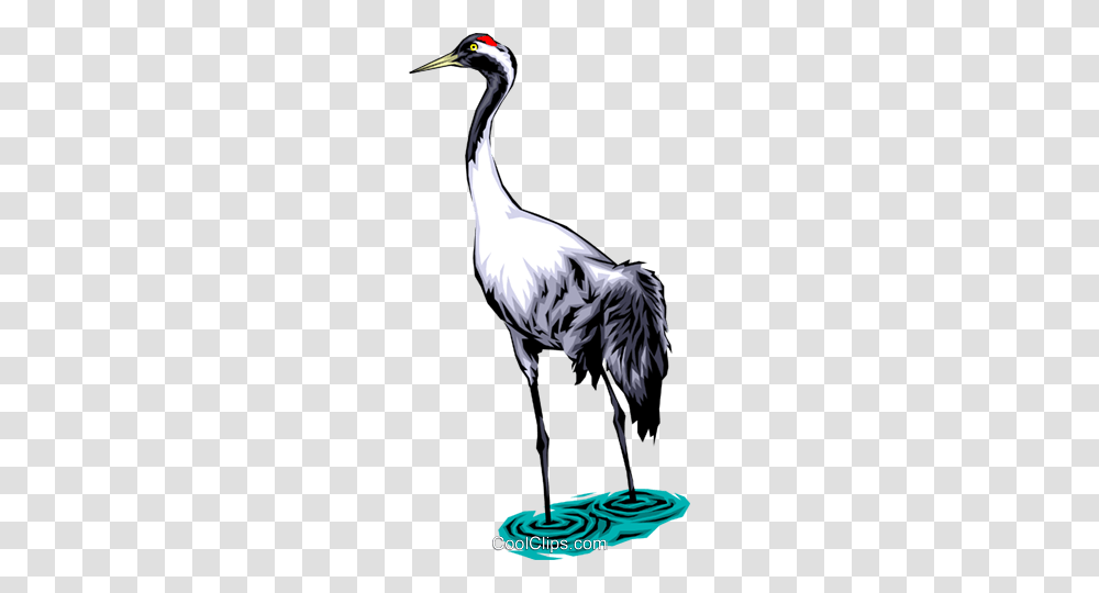 Common Crane Royalty Free Vector Clip Art Illustration, Bird, Animal, Crane Bird, Stork Transparent Png