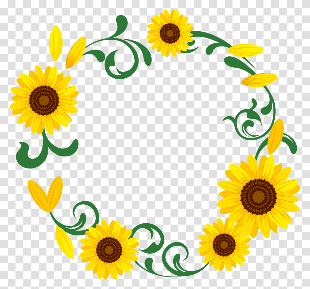 Common Download Illustration Transprent, Plant, Sunflower, Blossom, Floral Design Transparent Png
