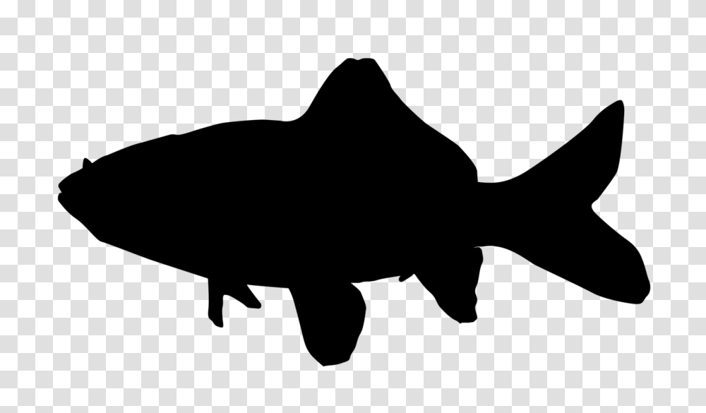Common Goldfish Silhouette, Gray, World Of Warcraft Transparent Png