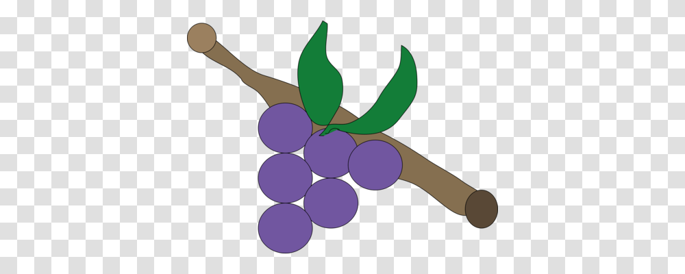 Common Grape Vine Computer Icons Drawing, Plant, Grapes, Fruit, Food Transparent Png
