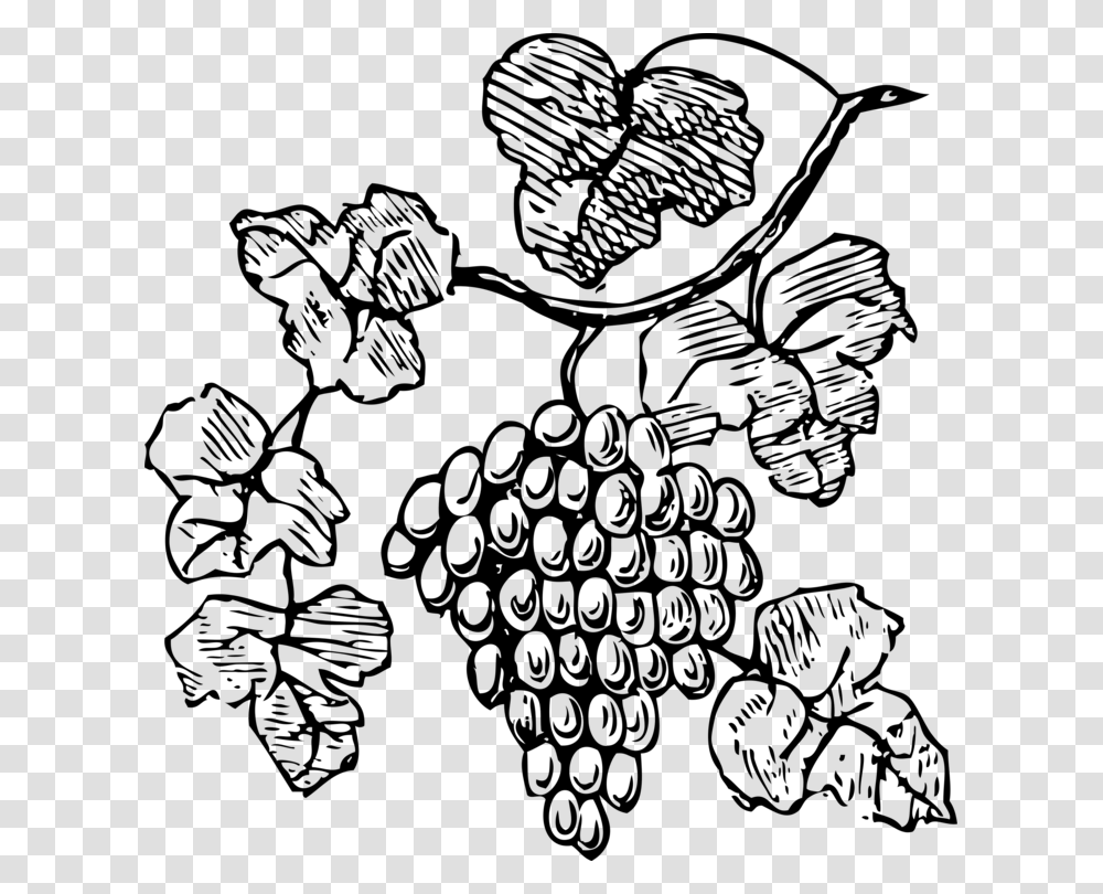 Common Grape Vine Red Wine Drawing, Gray, World Of Warcraft Transparent Png