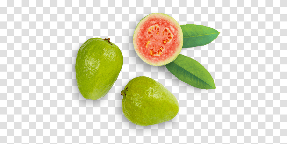 Common Guava Image Guava, Plant, Fruit, Food, Tennis Ball Transparent Png