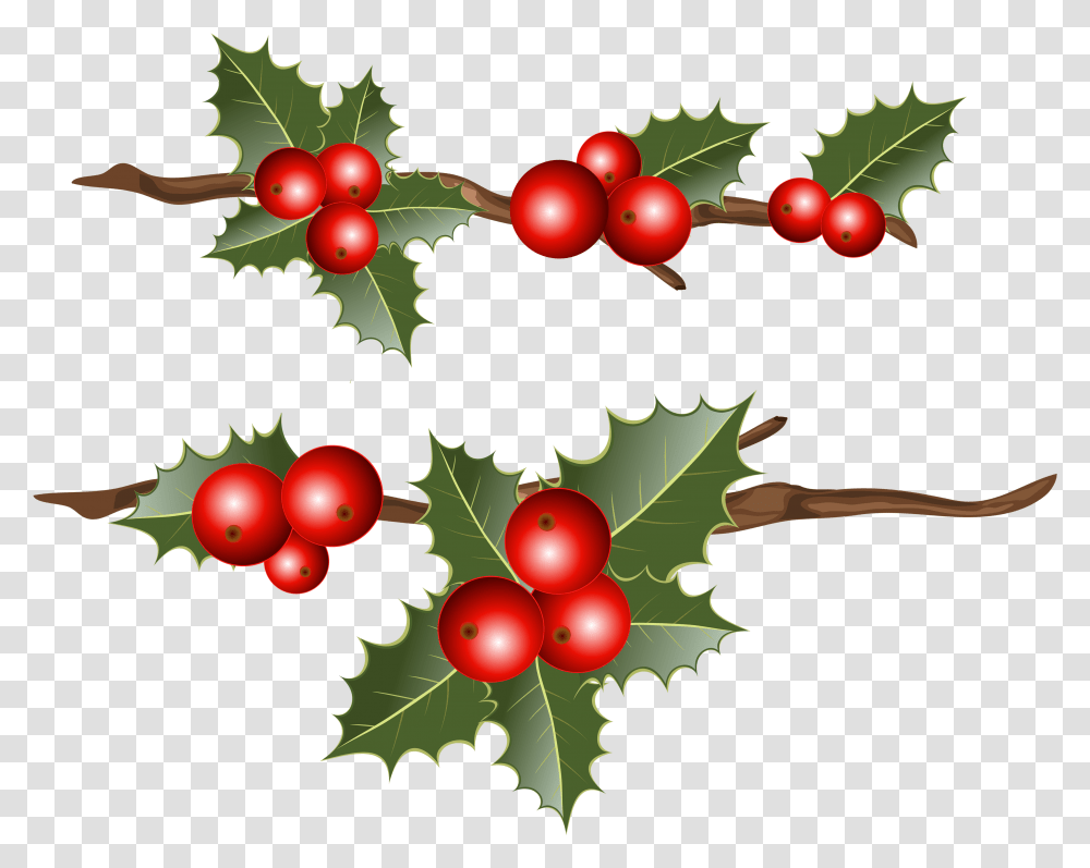 Common Holly Christmas Mistletoe Clip Art Holly Branches Holly Berry, Plant, Leaf, Fruit, Food Transparent Png