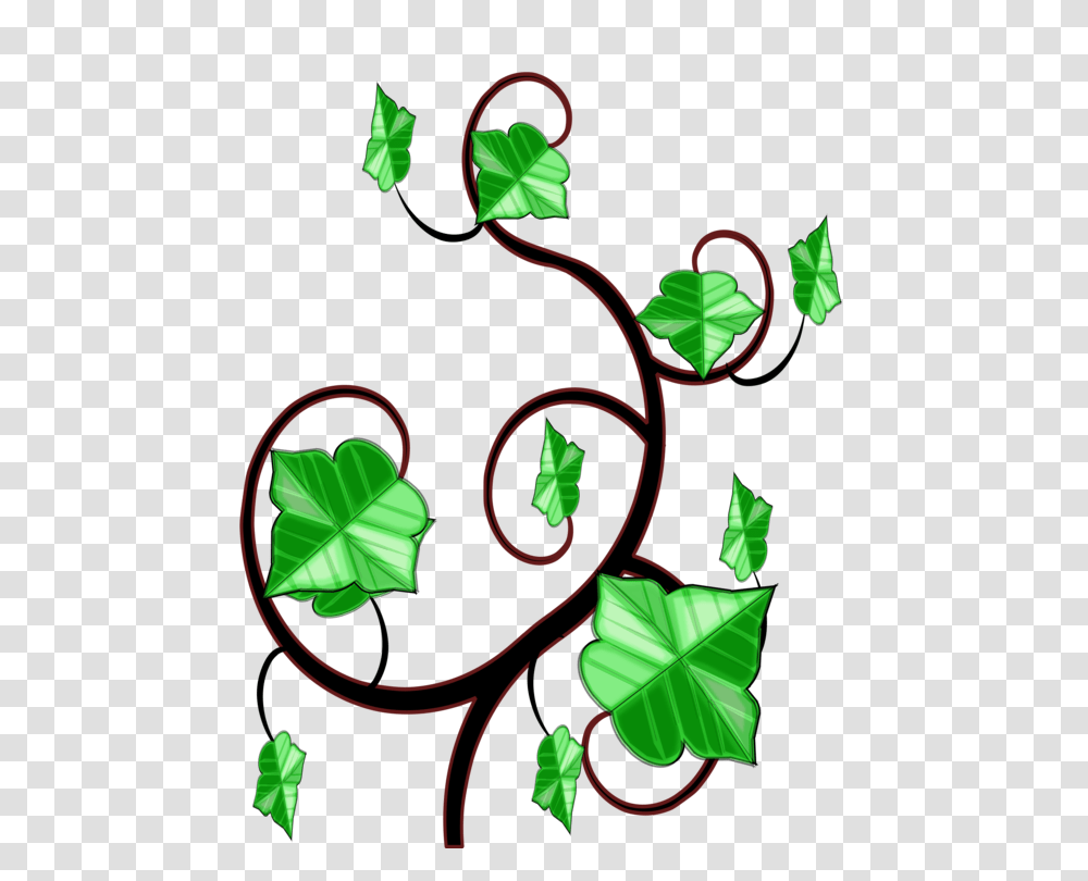 Common Ivy Computer Icons Vine Drawing, Leaf, Plant, Green, Dynamite Transparent Png