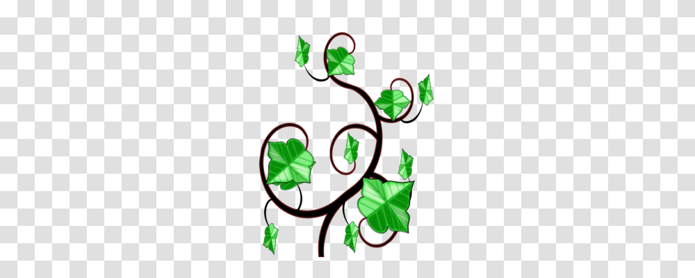 Common Ivy Maple Leaf Vine Hedera Hibernica, Floral Design, Pattern Transparent Png