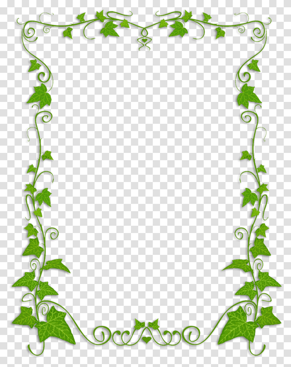 Common Ivy Plant Vine Clip Art Background Vine Borders Transparent Png