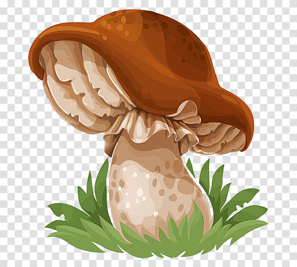 Common Mushroom Drawing Edible Mushroom Gambar Kartun Jamur Merang, Plant, Fungus, Agaric, Amanita Transparent Png