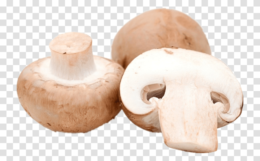 Common Mushroom, Plant, Fungus, Agaric, Egg Transparent Png
