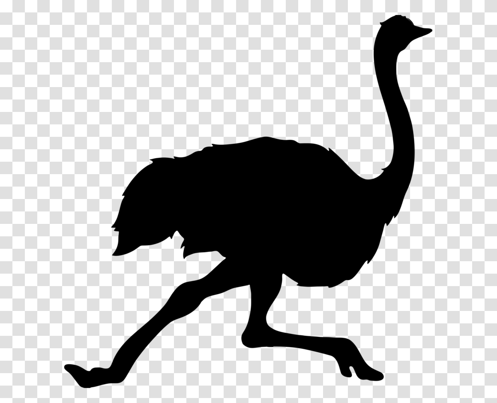 Common Ostrich Bird Tattoo Clip Art Silhouette Emu, Gray, World Of Warcraft Transparent Png