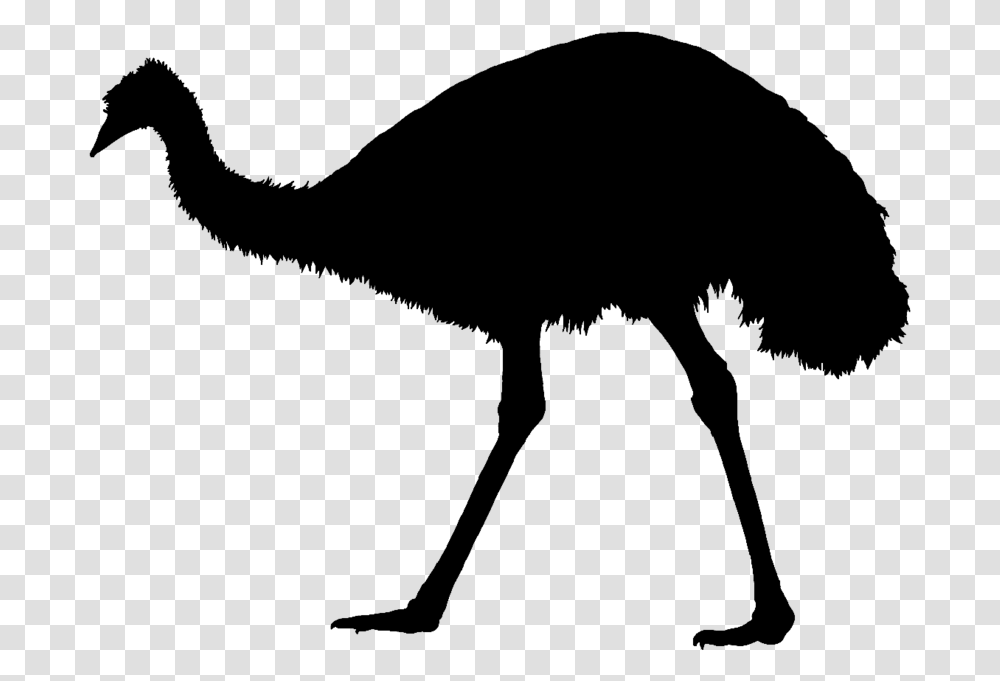 Common Ostrich Emu War Silhouette Bird Emu Silhouette, Gray, World Of Warcraft Transparent Png