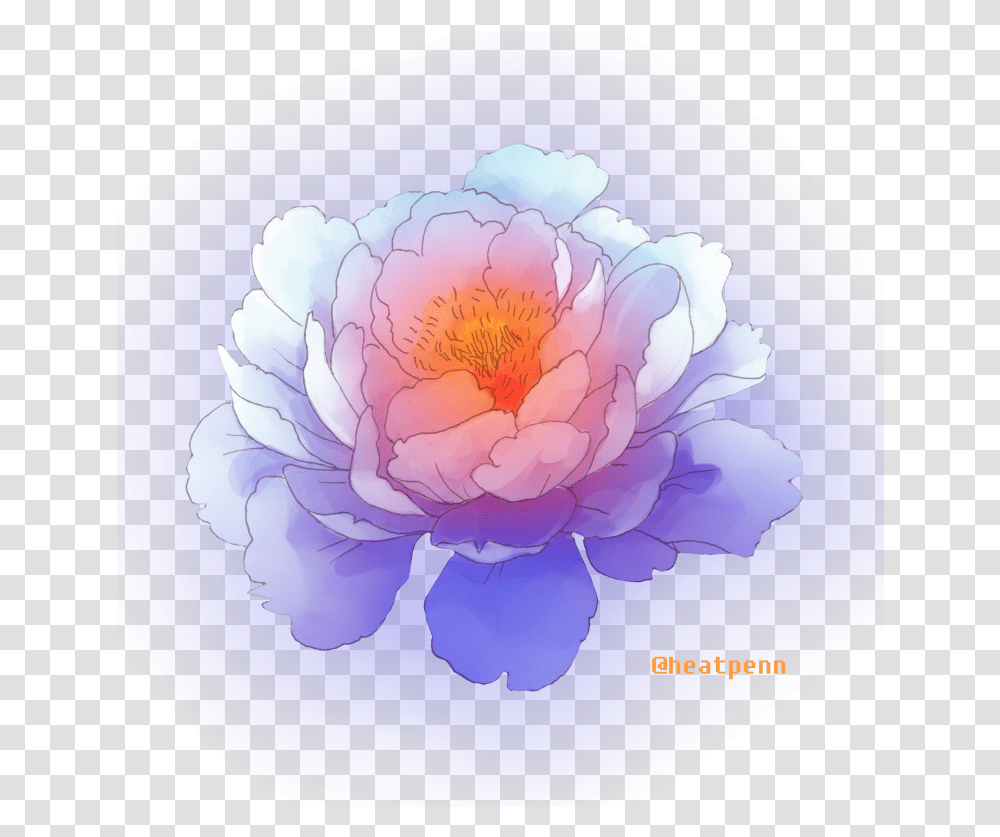 Common Peony Download Common Peony, Plant, Sphere, Flower, Blossom Transparent Png