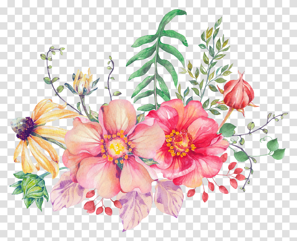 Common Peony, Plant, Flower, Blossom, Floral Design Transparent Png
