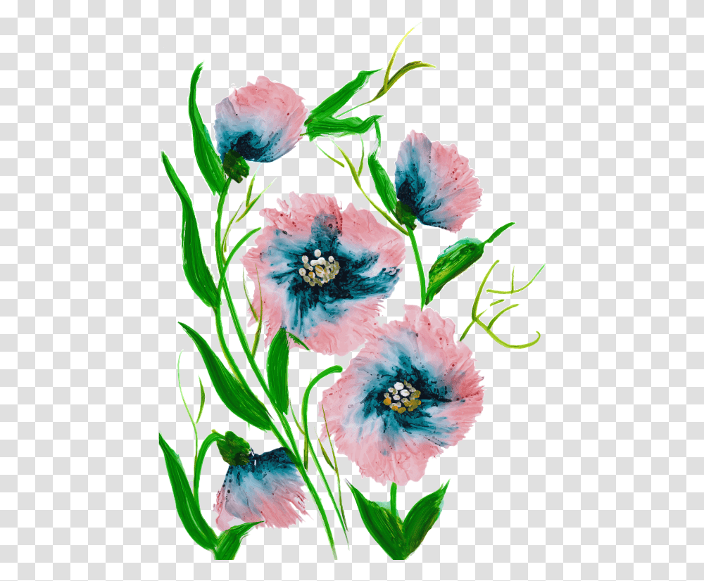 Common Peony, Plant, Flower Transparent Png