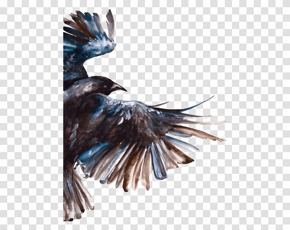 Common Raven Bird Painting Watercolour Crow Painting, Animal, Art, Statue, Sculpture Transparent Png