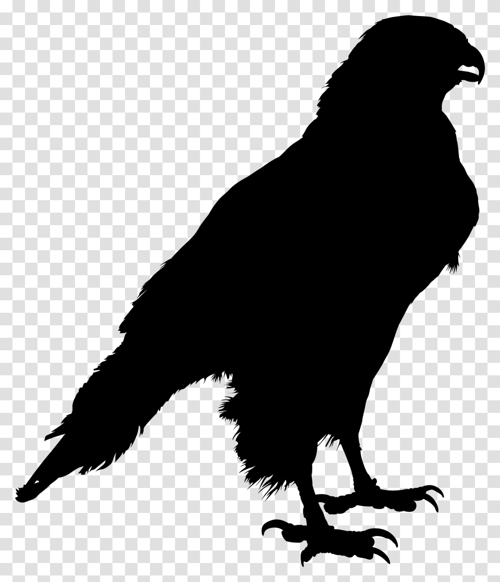 Common Raven Clip Art Silhouette Crow Drawing Silhouette Of A Raven, Gray, World Of Warcraft Transparent Png