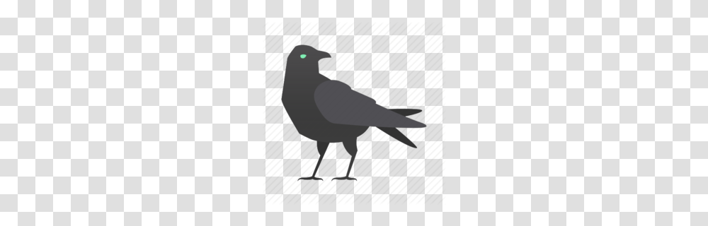 Common Raven Clipart, Animal, Blackbird, Agelaius Transparent Png