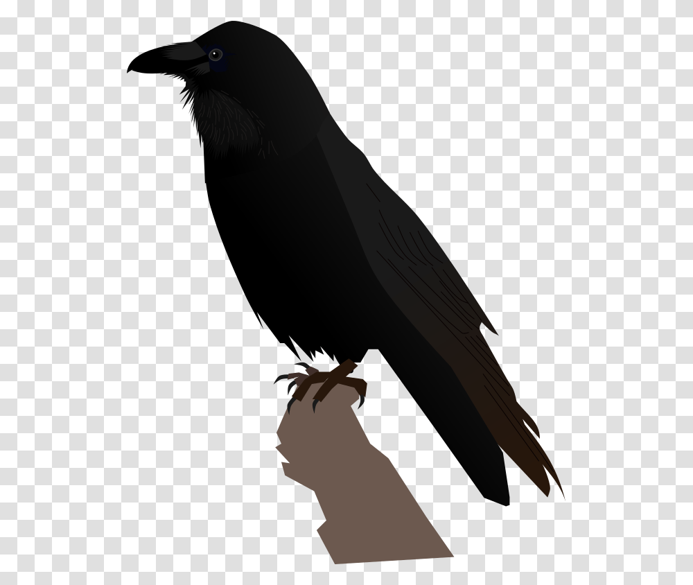 Common Raven Portable Network Graphics, Bird, Animal, Silhouette, Outdoors Transparent Png