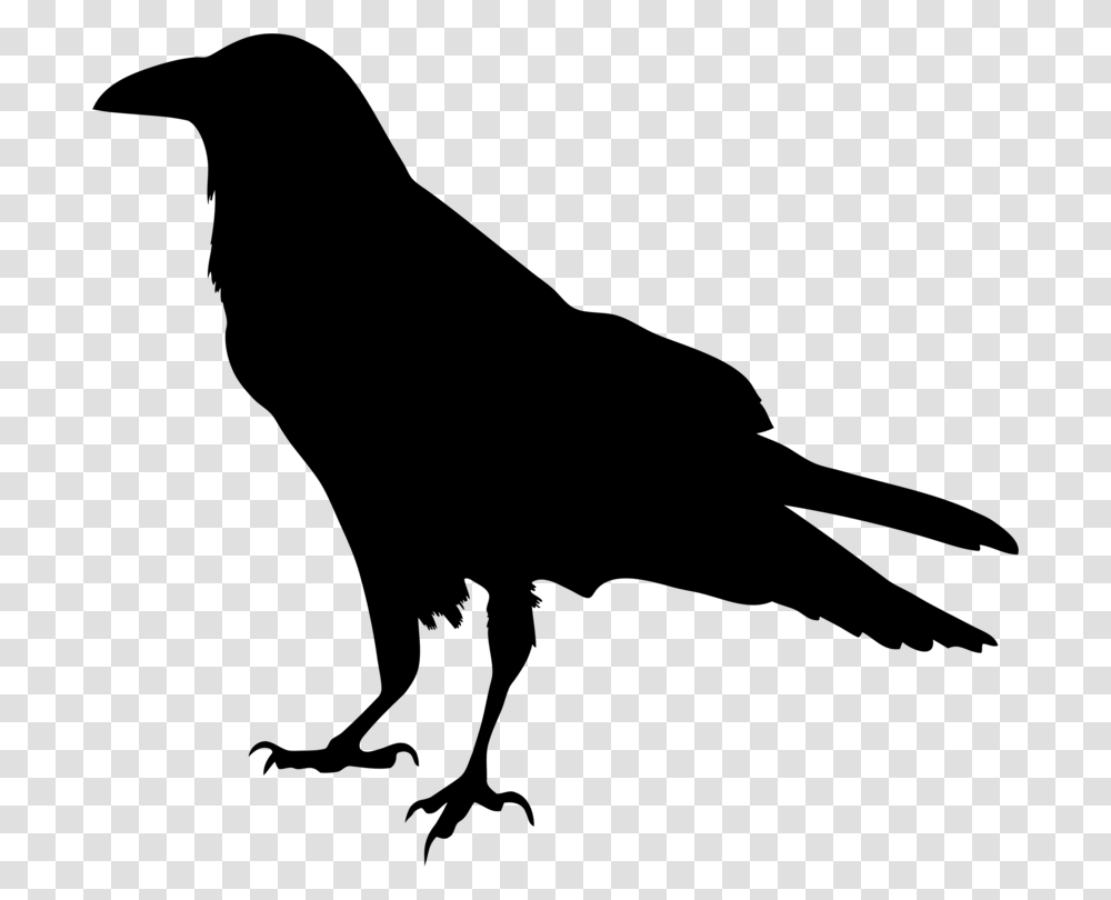 Common Raven Silhouette Drawing Crow Family, Gray, World Of Warcraft Transparent Png