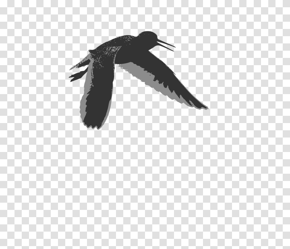 Common Redshank, Animals, Flying, Bird, Swallow Transparent Png