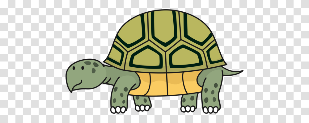 Common Snapping Turtle Reptile Mata Mata Archelon, Tortoise, Sea Life, Animal, Soccer Ball Transparent Png