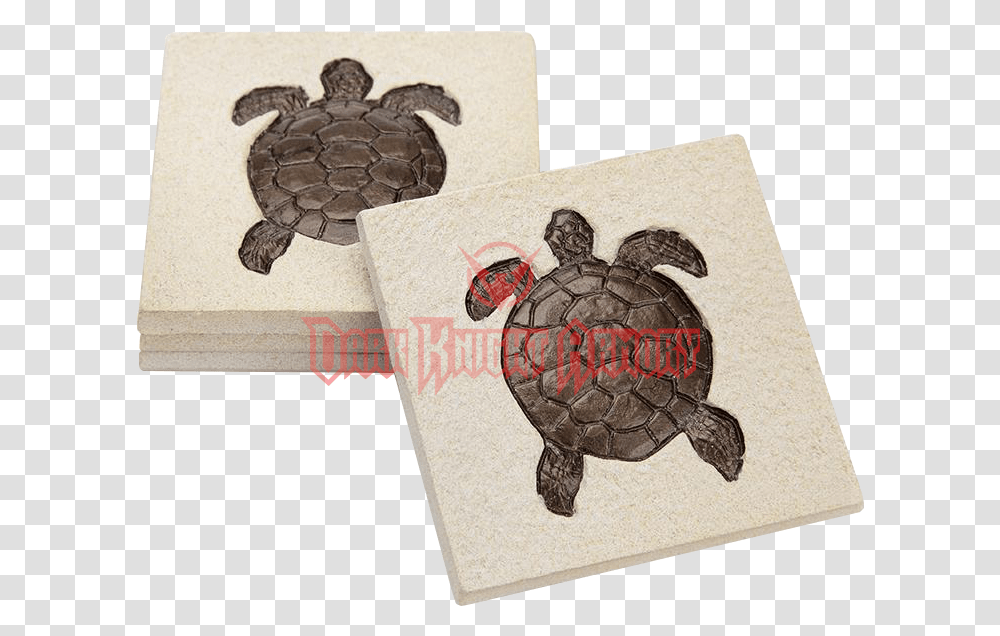 Common Snapping Turtle, Reptile, Sea Life, Animal, Tortoise Transparent Png