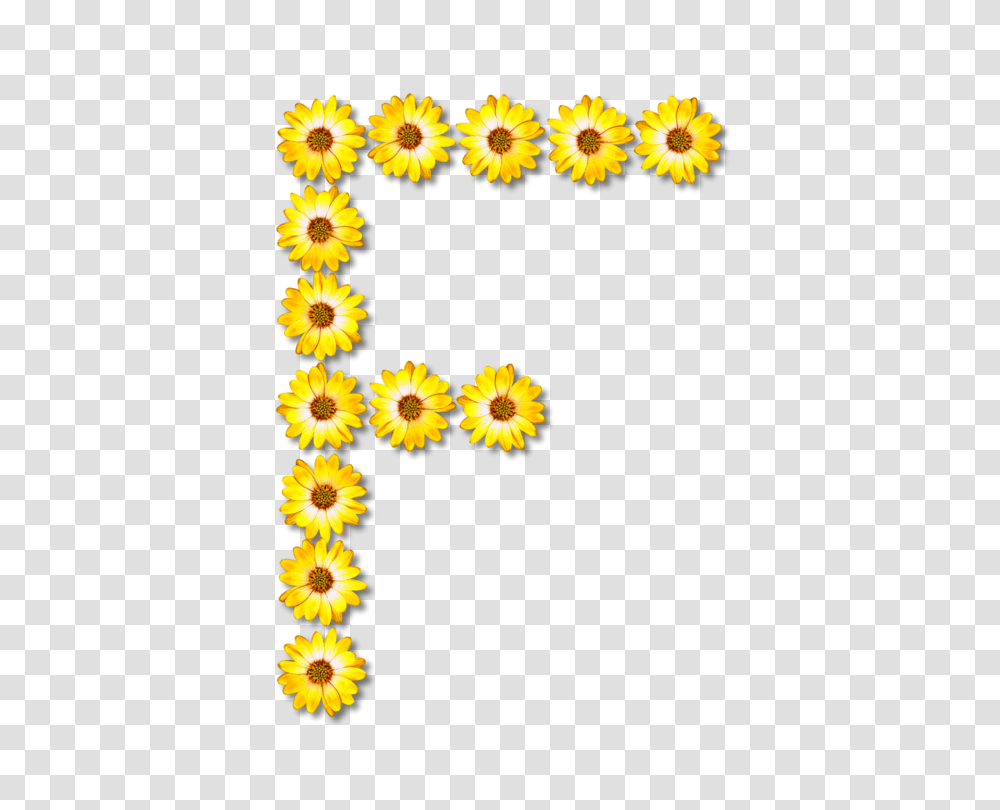 Common Sunflower Alphabet Petal Floral Design, Plant, Daisy, Pattern Transparent Png