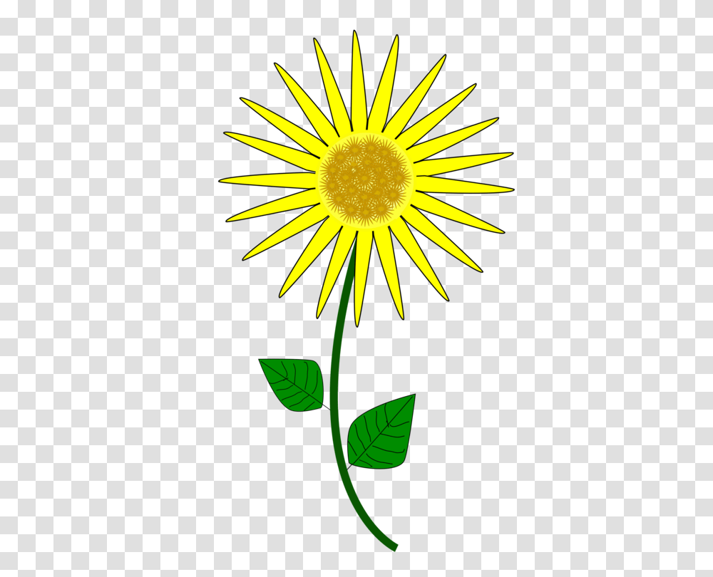 Common Sunflower Cartoon Animation Drawing Download Free, Plant, Blossom, Daisy, Daisies Transparent Png