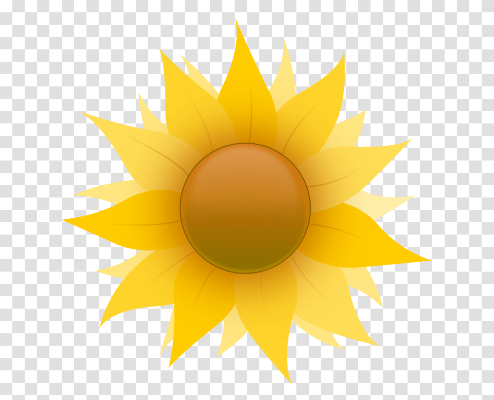 Common Sunflower Daisy Family Drawing Art, Outdoors, Nature, Photography, Gold Transparent Png