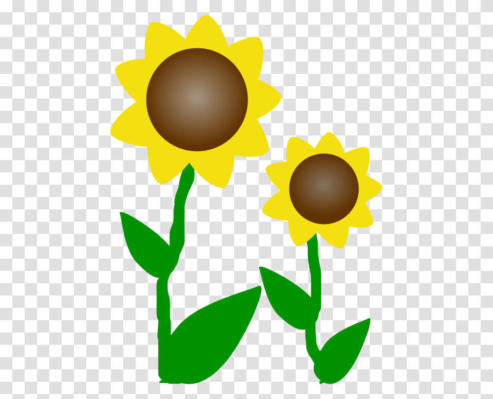 Common Sunflower Download Document Computer, Plant, Blossom, Daffodil, Gold Transparent Png