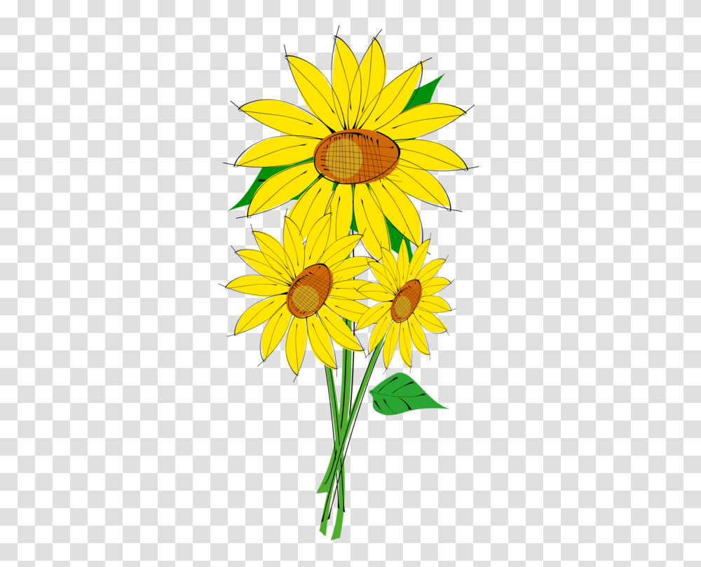 Common Sunflower Download Drawing Computer Icons, Plant, Blossom, Treasure Flower, Daisy Transparent Png