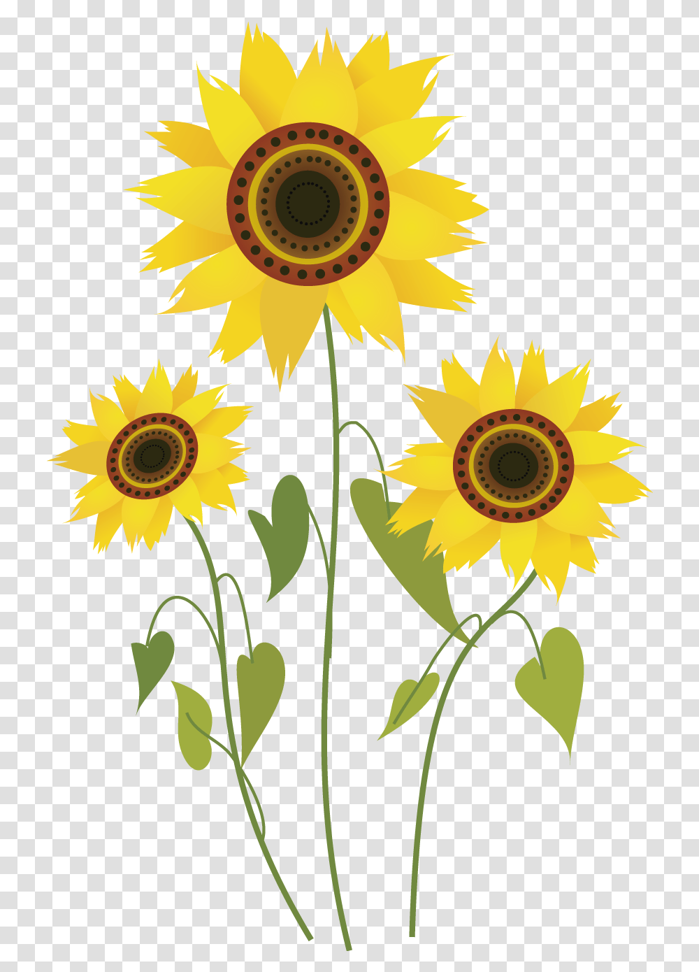 Common Sunflower Drawing Computer File Sunflower Plant Drawing, Blossom, Art, Pattern, Graphics Transparent Png