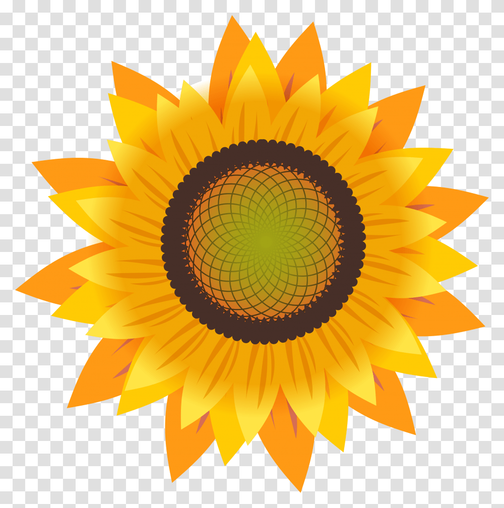 Common Sunflower Drawing Sunflower Seed, Plant, Blossom Transparent Png