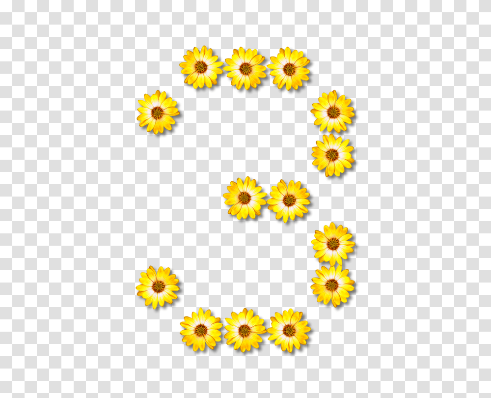 Common Sunflower Number Line Art Letter, Plant, Daisy, Petal, Rug Transparent Png